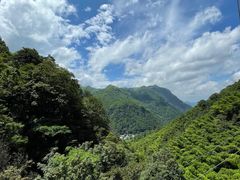 -藏龙百瀑风景区
