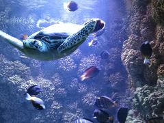 -海合安青岛极地海洋公园