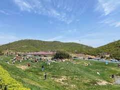 -冶父山国家森林公园