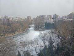 -团结湖公园