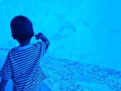 -哈尔滨波塞冬海底世界