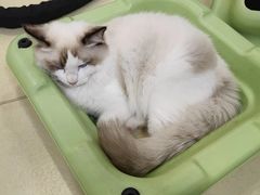 -中田健身工作室(中针商务店)