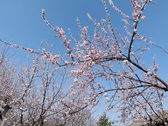 -三里河公园