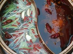 -镇江龙·火锅串串(武侯祠店)