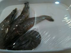 -怡人怡口牛排海鲜自助(飞龙大厦店)