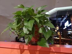 -鸡遇虾煲干锅火锅(小寨金莎店)
