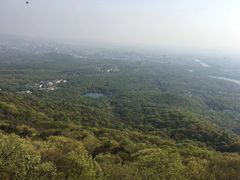 -紫金山山顶公园