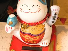 -狐狸和向日葵(北京路店)