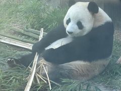 -大连森林动物园