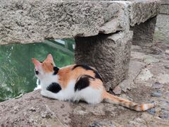-西园戒幢律寺