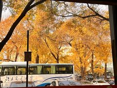 -老北京炸酱面·烤鸭(前门店)