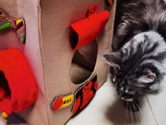 -麦当劳(祈年大街店)