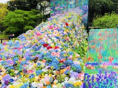 -上海共青森林公园