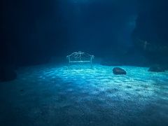 -常州海昌海洋探索馆