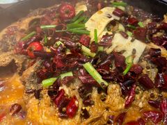 -老板恋上鱼(印象城店)