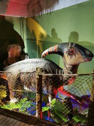 -恐龙探索乐园(磁器口店)