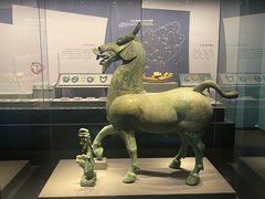 -广西壮族自治区博物馆