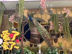 -雀蓝川菜(奥体广场店)