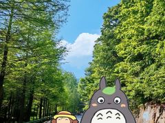 -南京市无想山景区