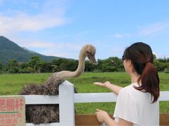 -瑞穗牧场