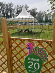 -萌宠亲子动物乐园(槐房万达店)