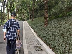 -云溪植物园