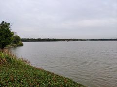 -逸林轩中餐厅(中信泰富朱家角锦江酒店)