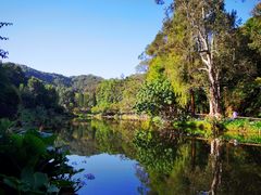 -深圳仙湖植物园