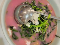 上汤藏红花苗-东兴楼饭庄(六里桥店)