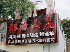 -桃源山庄·水蜜桃采摘·柴火鸡·烧烤团建(龙泉山店)