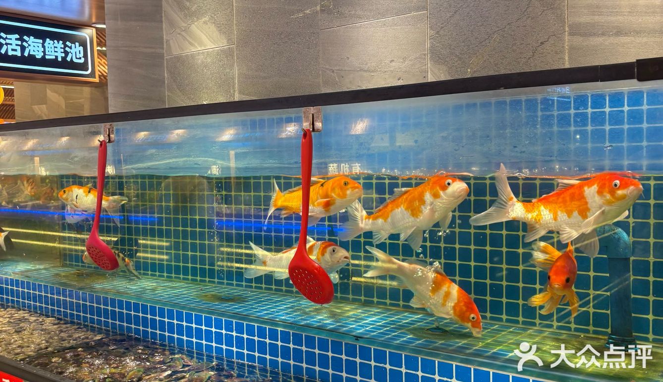 观音桥这家海鲜自助，必须刷N次！性价比绝了！