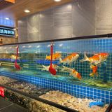 观音桥这家海鲜自助，必须刷N次！性价比绝了！