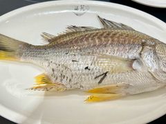 -吴记富苑(朝阳店)