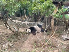-柳州市动物园