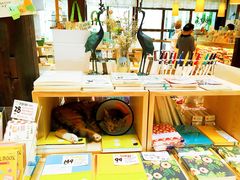 -猫的天空之城概念书店(杭州南宋御街店)