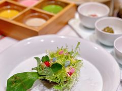 -叶叶菩提·晋福宫