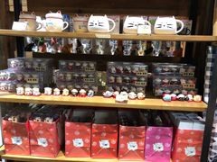 -猫咪博物馆(顶澳仔猫街店)