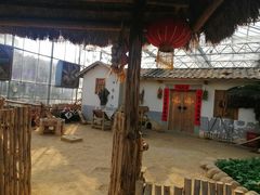 -光明农场大观园