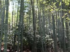 -敬亭山风景名胜区