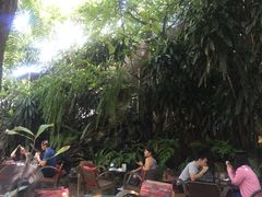 景观位-Fern Forest Cafe