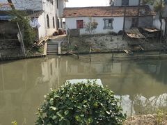 -青浦采草莓天天草莓园