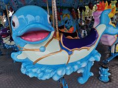 -芜湖新华联大白鲸海洋公园