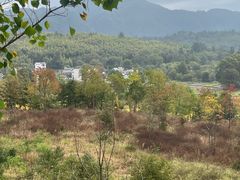-塔川景区