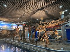 -国家自然博物馆