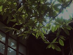 -书隐楼