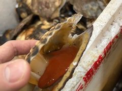 -岳各庄批发市场(西四环中路店)