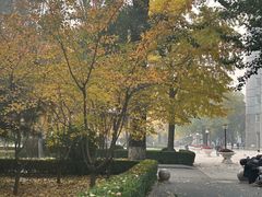 -北京理工大学(中关村校区)