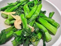 生炒菜心-陶陶居酒家(第十甫路总店)