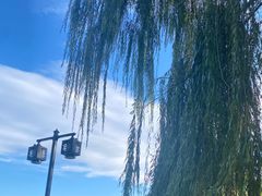 -后海公园