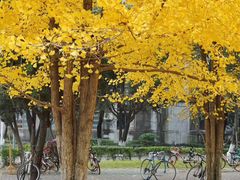 -四川大学(望江校区)
